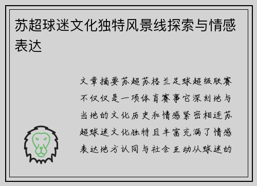 苏超球迷文化独特风景线探索与情感表达